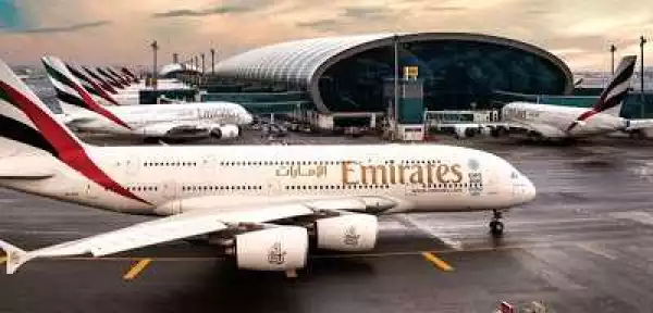 Emirates Cancels Flight After Snake Was Found In Plane